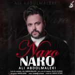 دانلود آهنگ جدید علی عبدالمالکی به نام نرو نروAli Abdolmaleki - Naro Naro
